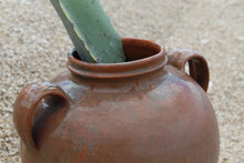 Load image into Gallery viewer, TWO HANDLE ROMAN JUG
